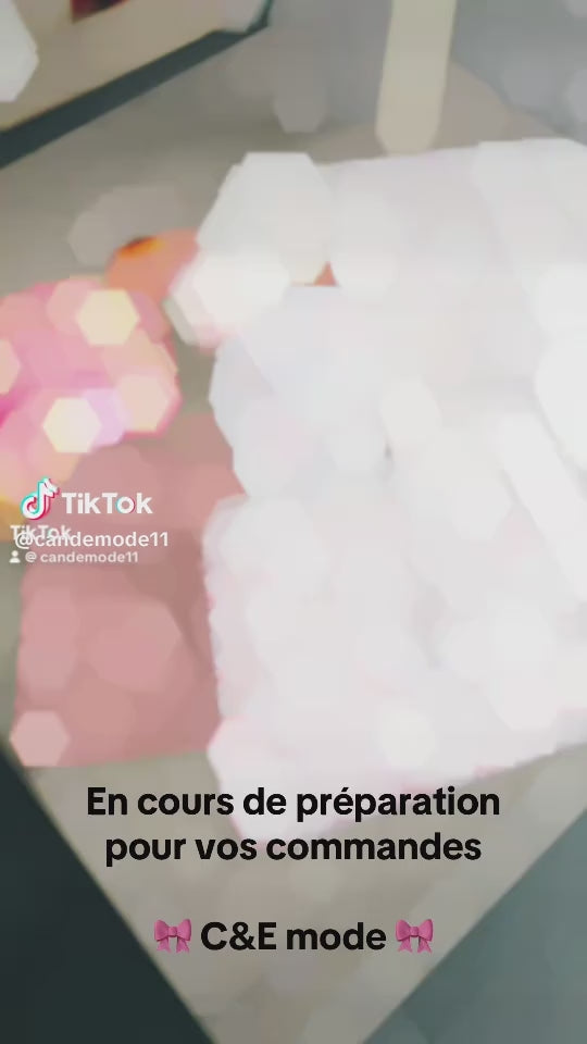 Charger la vidéo : 